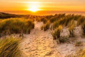 Sonnenuntergang in den Dünen