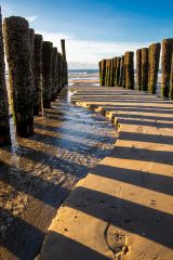 Zonnig paalhoofd op het Domburgse strand (Staand)