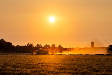 Arbeit auf dem Feld