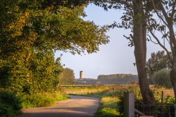 Doorkijkje naar de watertoren