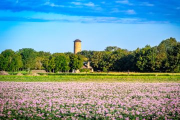 Fleurig Domburg