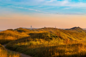 Domburg in der Ferne