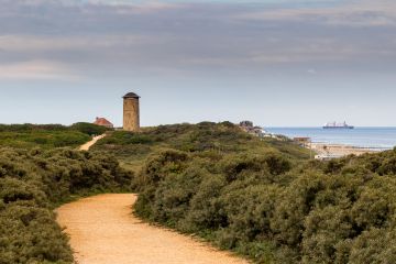 De groene duinen van Domburg