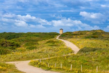 Door de duinen naar de toren 0321