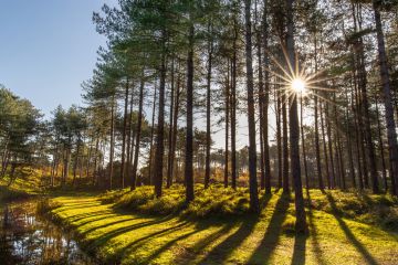 Schattenspiel Naturschutzgebiet Oranjezon