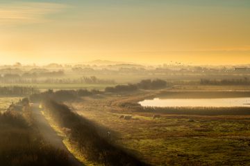 Walcheren im Morgentau